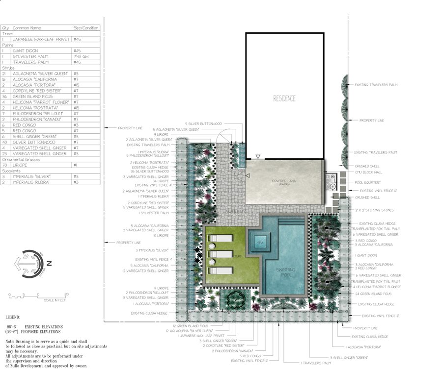 Color landscape plan with a pool, spa, turf lounge area and tropical planting