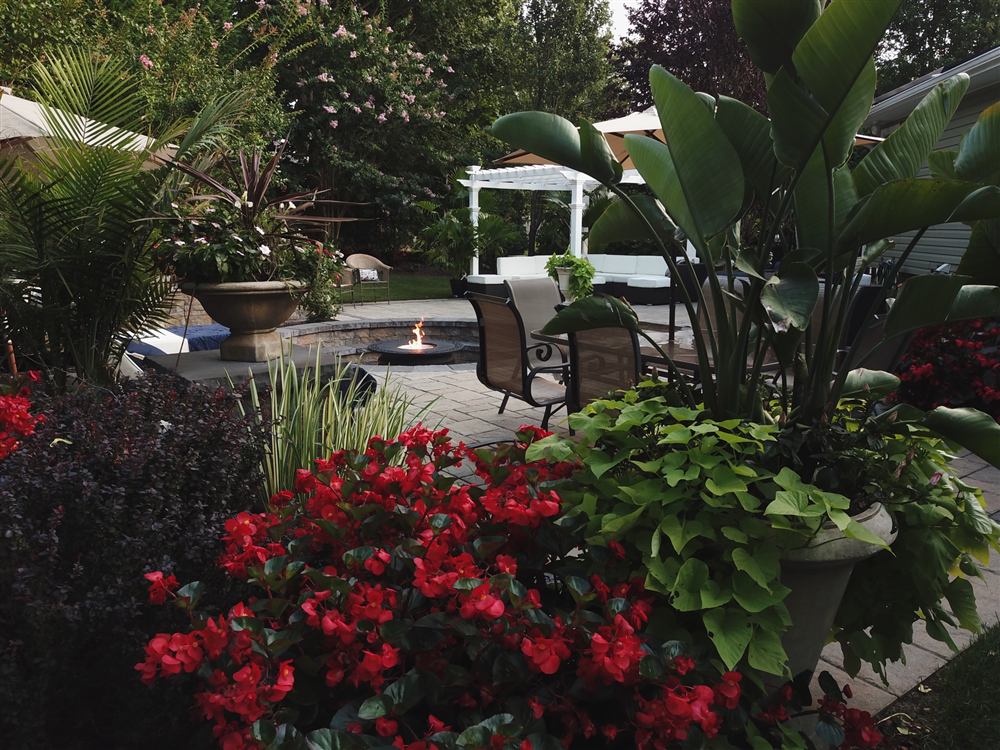 Courtyard Fire Pit & Pergola, photo 2