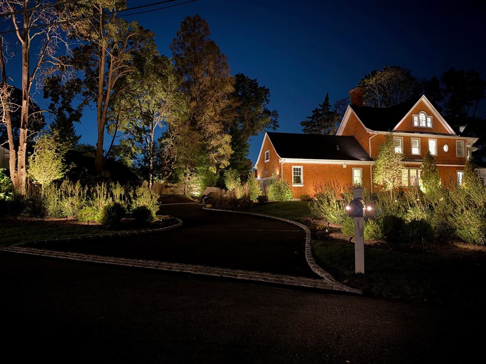Evening Lighting, photo 3
