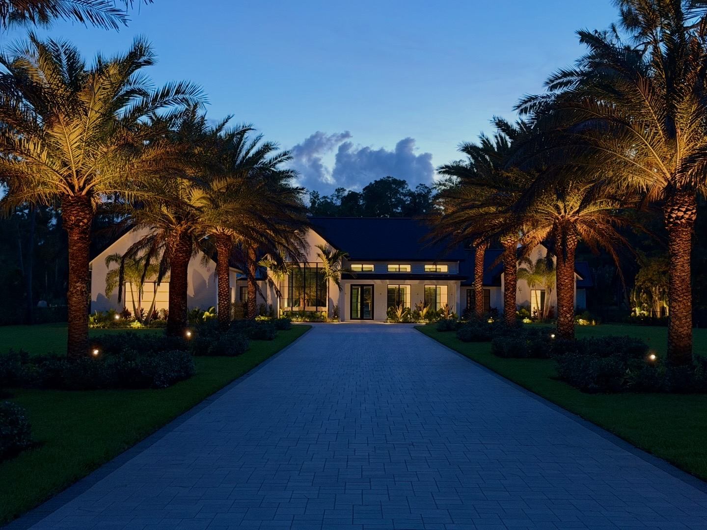 Palm-Lined Estate After Dark