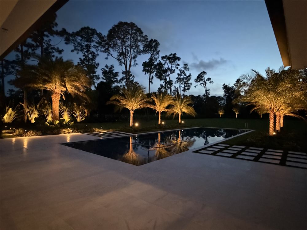 Palm-Lined Estate After Dark, photo 3