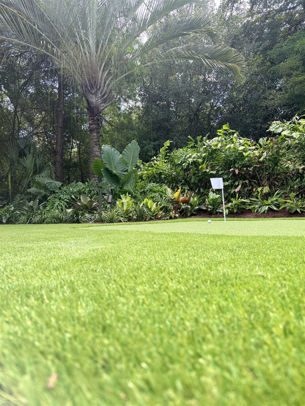 Tropical Backyard & Putting Green, photo 3