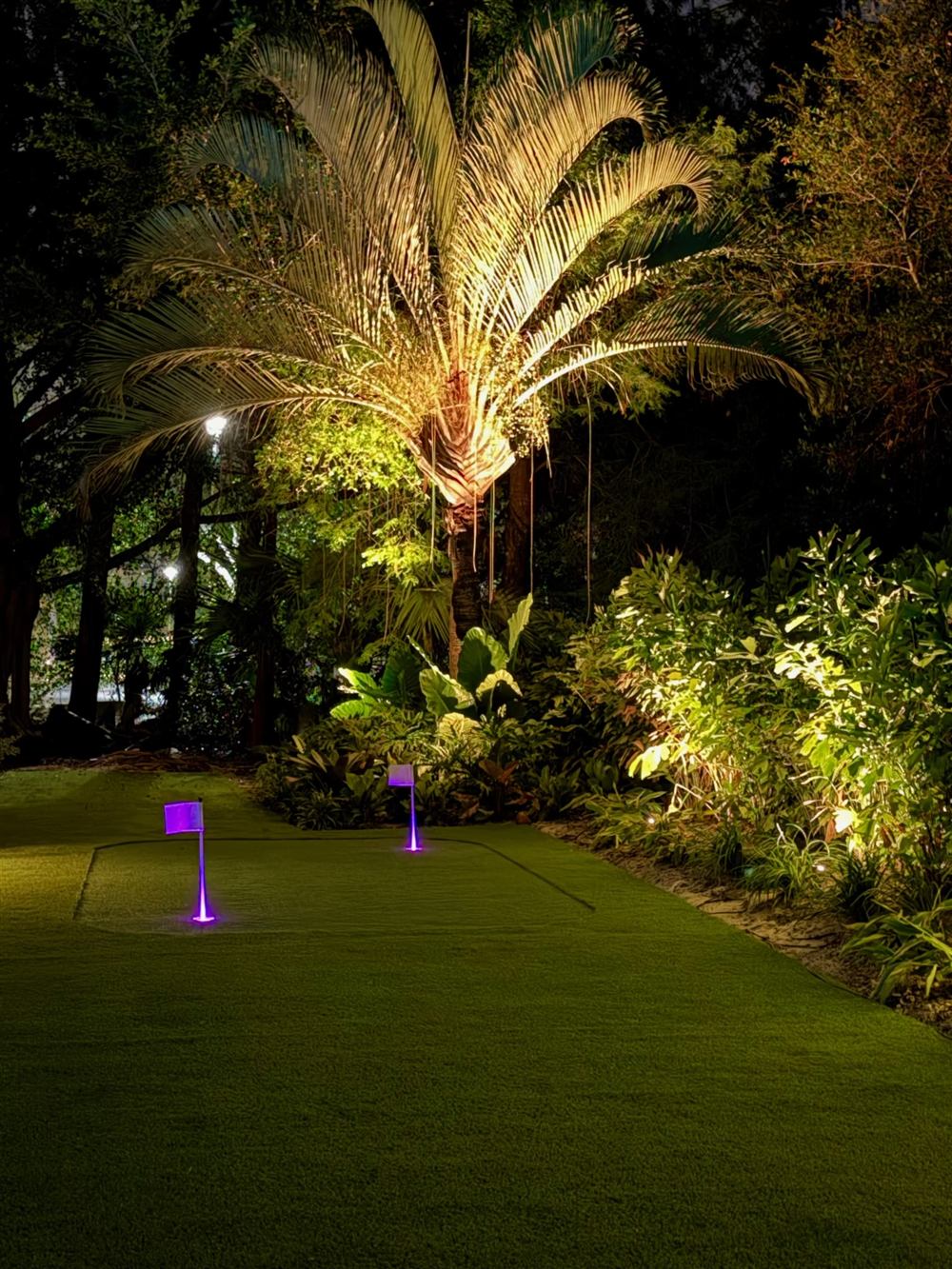 Tropical Garden & Putting Green After Dark, photo 2