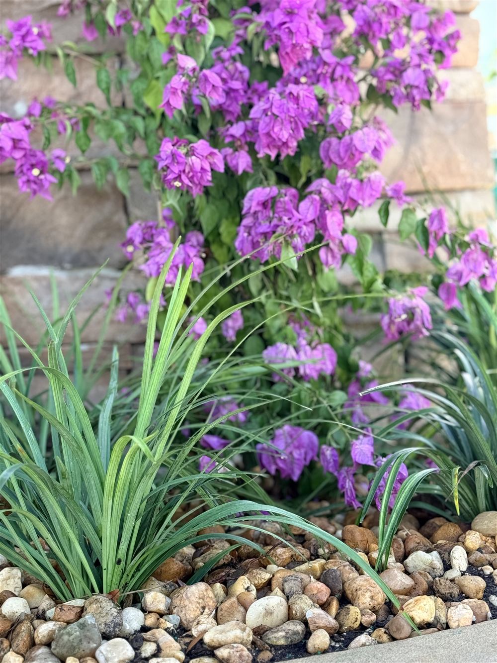 Tropical Planting Details, photo 2